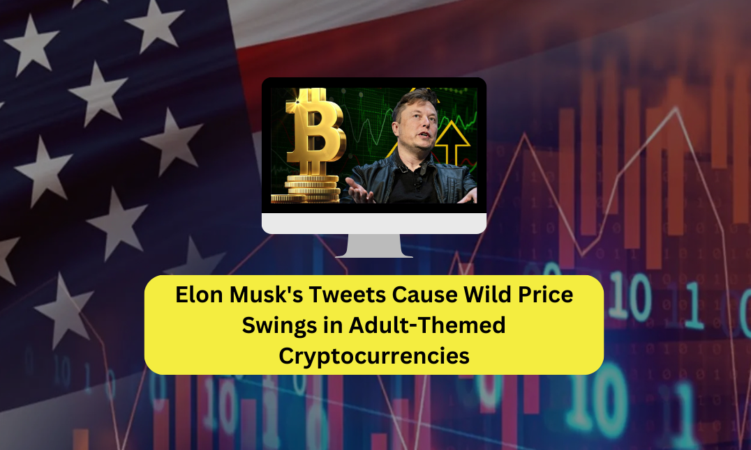 Elon Musk's Tweets Cause Wild Price Swings in Adult-Themed Cryptocurrencies